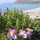 Buone vacanze!